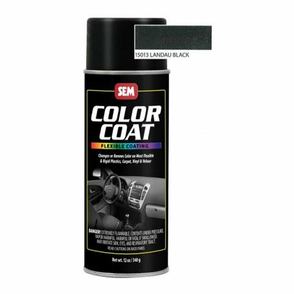 Defenseguard Landau Black Color Coat Aerosol Spray - Landau Black DE3609055